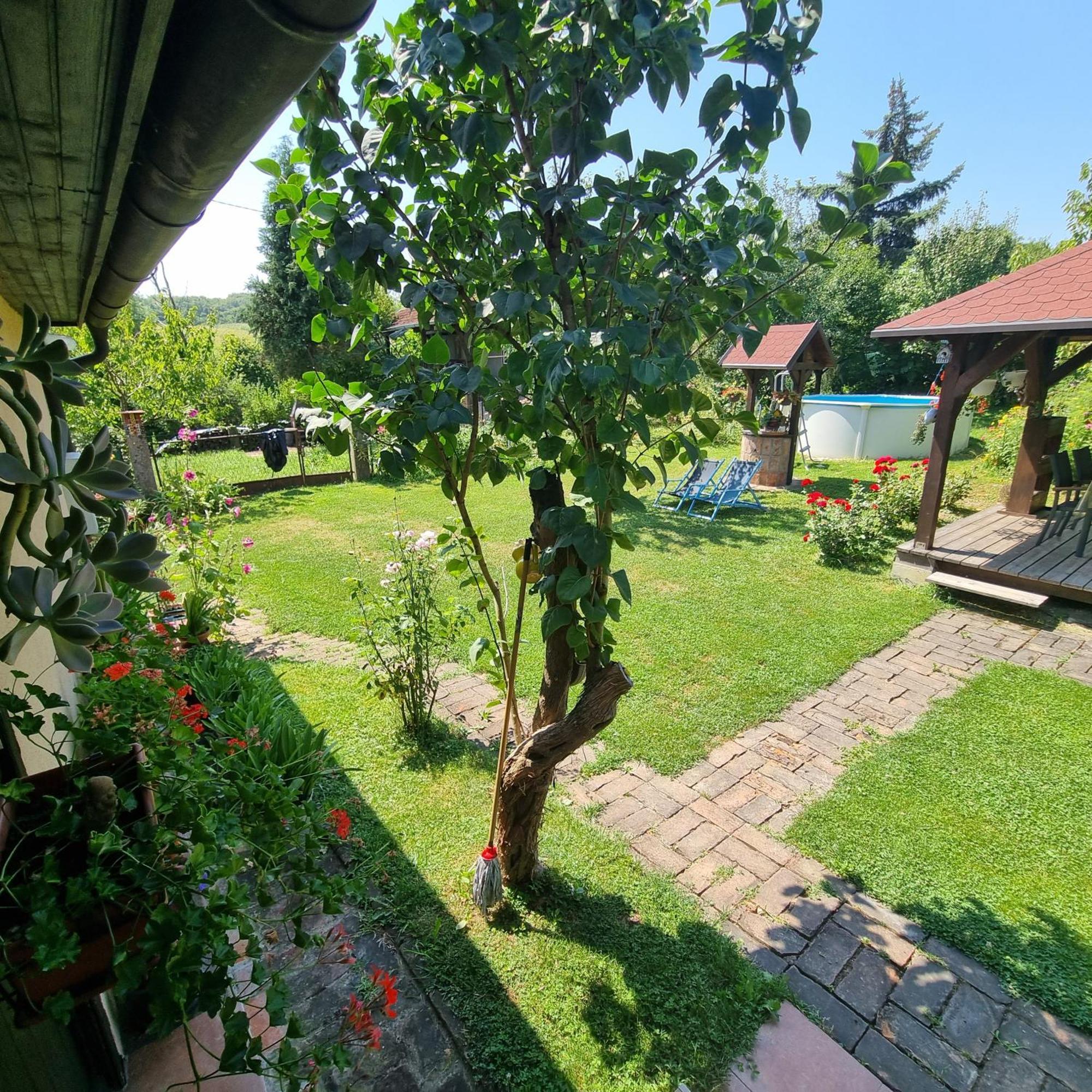 Kuca Za Odmor Bajtica Villa Jesenovec Exterior photo